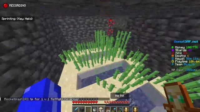 Grinding up to 1M on DONUT SMP! Rating bases! смотреть онлайн