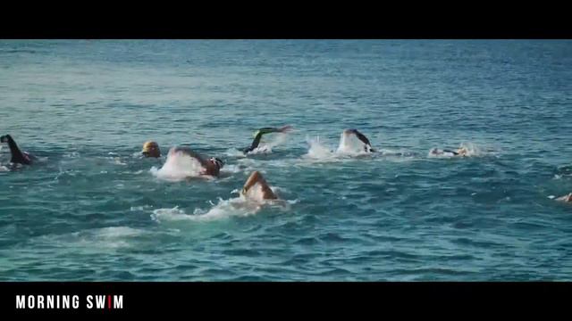 IRONMAN FRANCE Nice 2017 - COMPRESSPORT Morning Swim смотреть онлайн