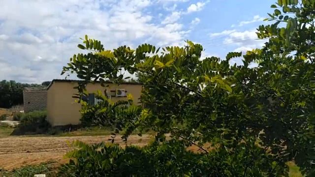 12 июня 2020 Новореченский СДК смотреть онлайн