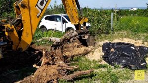 Корчевание пней и выравнивание участка трактором! Готовлюсь к стройке!