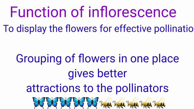மஞ்சரி/மலர்கள்/Inflorescence/based on position смотреть онлайн