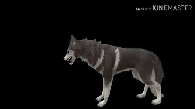 Тг, что люди называют любовь