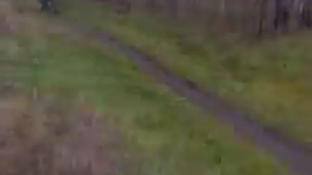 Гоцаем на карпатах 125с смотреть онлайн