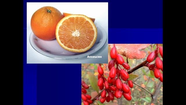 дары старого и нового света презентация 6 класс смотреть онлайн