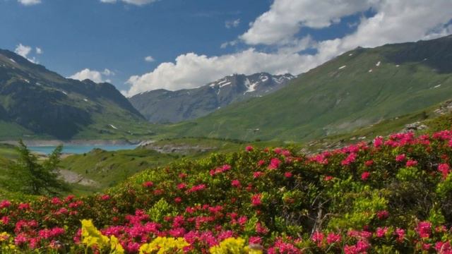Мелодия гор смотреть онлайн