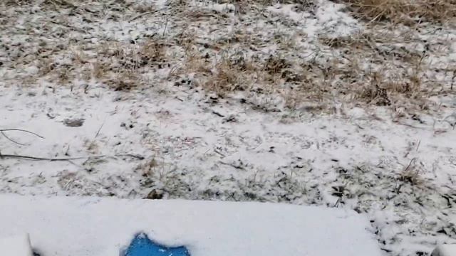 16 декабря! На проблемной пасеке! смотреть онлайн