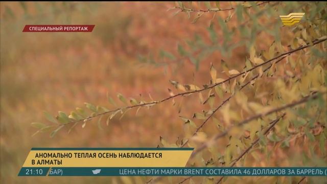 Экологи: глобальное потепление уже влияет на климат Казахстана смотреть онлайн