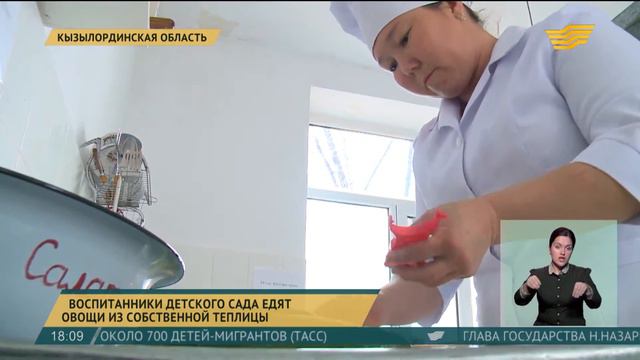 В Кызылординской области воспитанники детсада питаются овощами своей теплицы смотреть онлайн