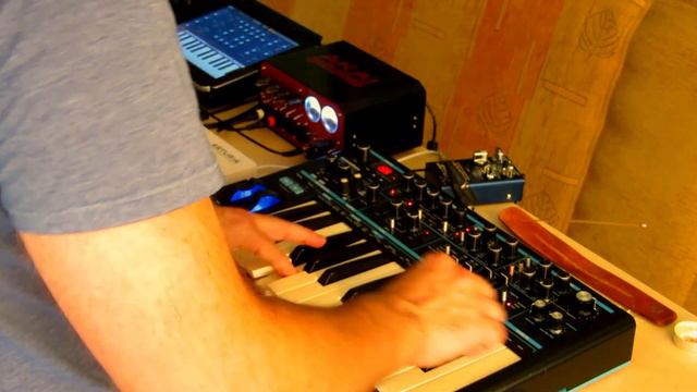 Bass station II goes mad... // BS2 // Joyo R-07 // Keystep смотреть онлайн