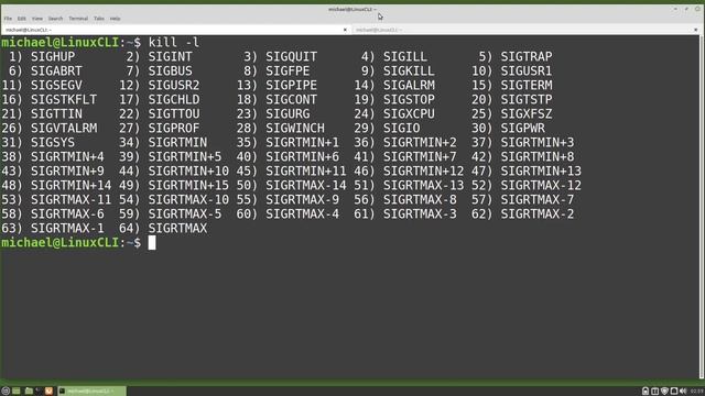 Linux Command Line (63) kill process смотреть онлайн