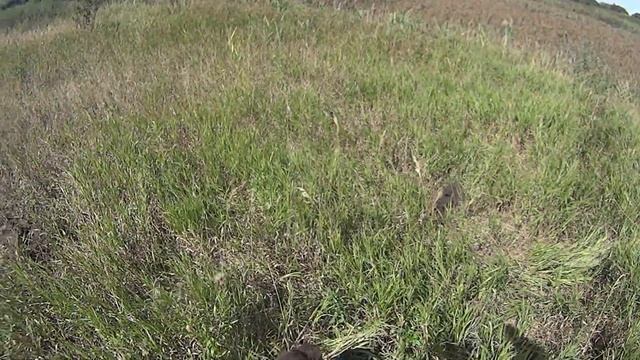 МЕЛОЧЬЮ ТОЖЕ МОЖНО НАБРАТЬ ХОРОШИЙ ВЕС! Коп металлолома смотреть онлайн