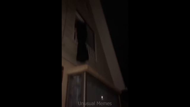 UNUSUAL MEMES COMPILATION V81 UNUSUAL VIDEOS