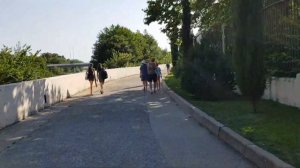 набережная Небуг. Дорога к морю. НикСа.