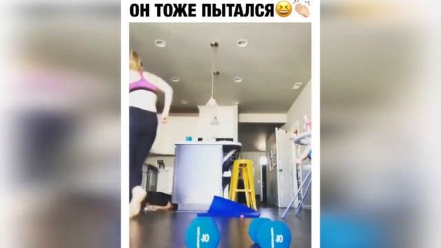 приколы||кто засмеётся тот проиграл||9 часов смеха||без звука! смотреть онлайн