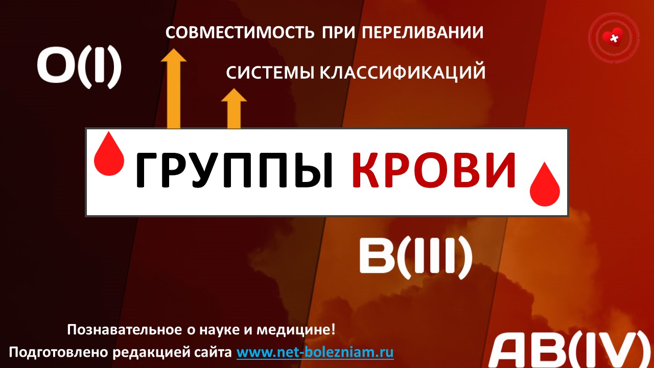 Группы крови: Системы классификаций, совместимость при переливании и возможные проблемы смотреть онлайн