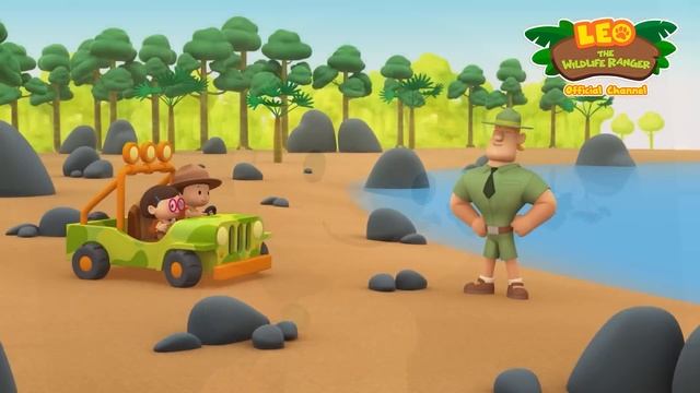 PENGUINS LIVING IN THE FOREST?! ? | Yellow-Eyed Penguin | Leo The Wildlife Ranger | #compilation