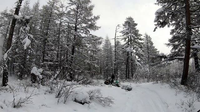 снегоход стелс викинг 800 снова в деле смотреть онлайн