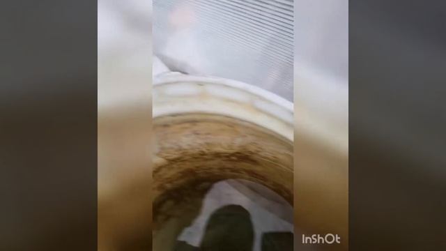 реальная жизнь и показываем как люди какают смотреть онлайн