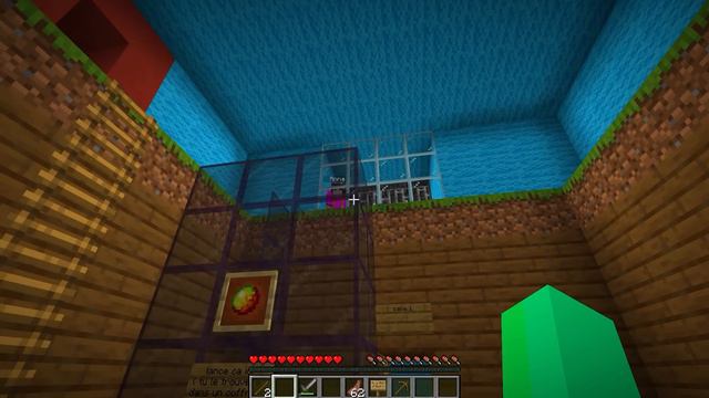 J'ai CAPTURÉ Talcado Et ANNA Sur Minecraft !