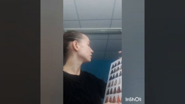 Обзор краски Levissime