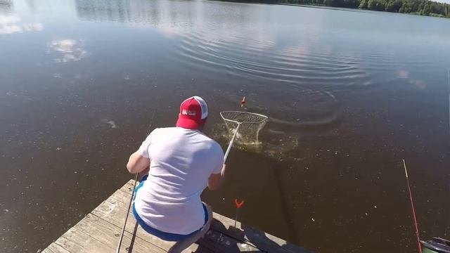 Толстолобик на Тетеревке, Егорьевский рыбхоз смотреть онлайн
