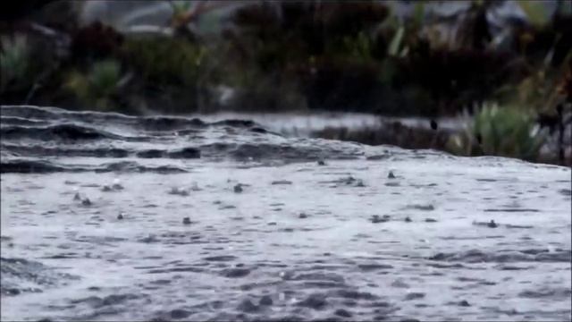 Alan Watts - The Human Game