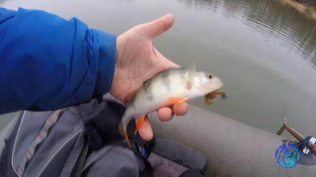 ОЗВЕРЕВШИЕ ЕРШИ НА ФИДЕР! Рыбалка 2020! Ловля ершей зимой смотреть онлайн