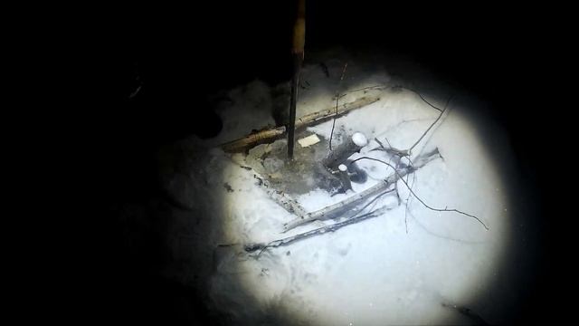 Бобровая охота 2019 2 вечера - 4 бобра смотреть онлайн