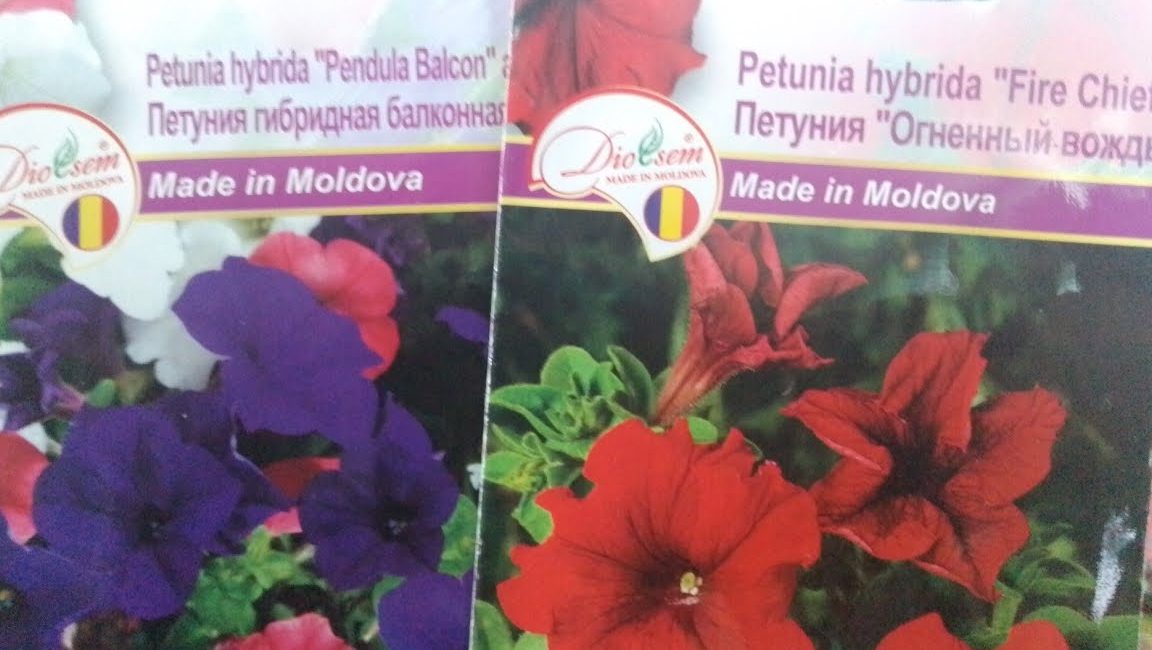 Посев петунии_Как посеять петунию.