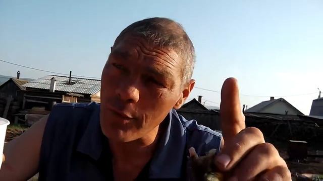 местный гид смотреть онлайн