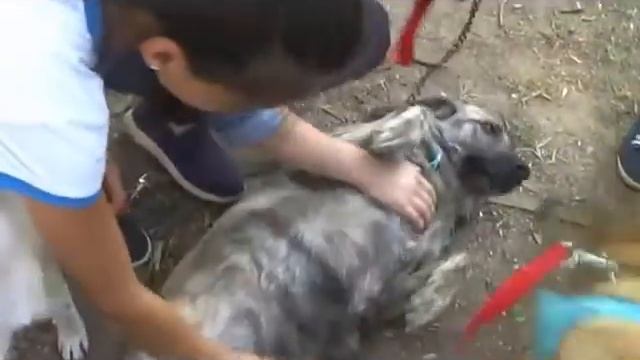 Люди, будьте добрее! смотреть онлайн