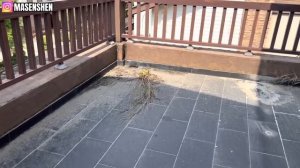 Купил Квартиру в Китае. Цены на квартиры и вилу у Моря в Китае, ДЕШЕВО!!!