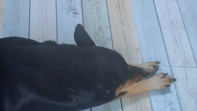 ПИШУ ГОРЫ | КРАСКИ, ХОЛСТЫ | ТАЙСКАЯ ЖИЗНЬ смотреть онлайн