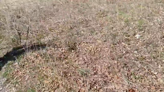 Природа Урала Железнодорожный мост река Каменка город Каменск-Уральский смотреть онлайн