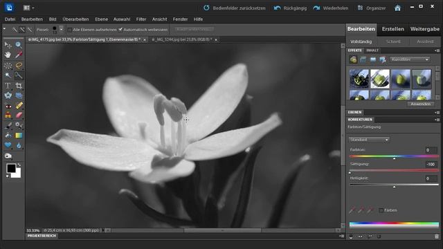 Bildbereiche einzeln bearbeiten - Photoshop Elements 10 für digitale Fotografie смотреть онлайн
