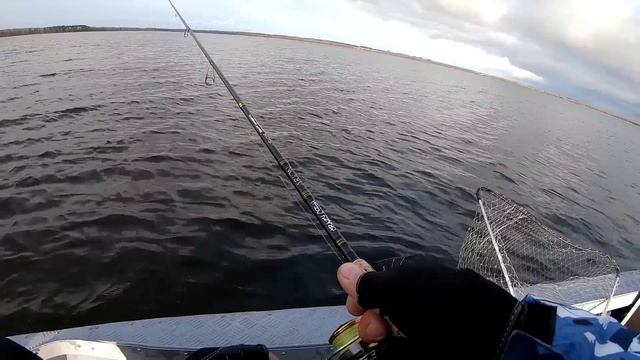 Ловля щуки в Ноябре. Рабочий метод ПОЙМАТЬ МНОГО ЩУКИ перед морозами!! смотреть онлайн