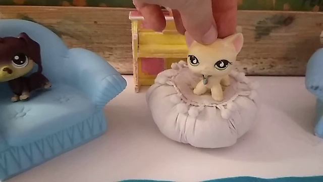 Правда или действие