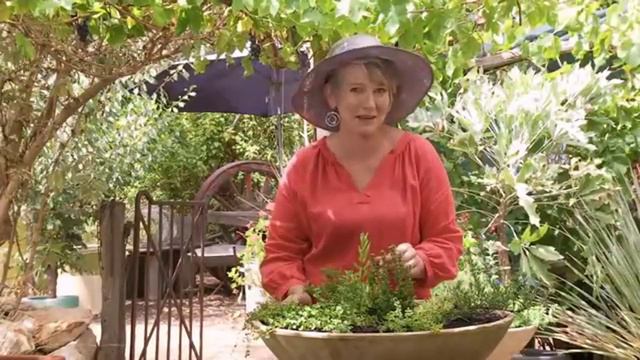 Gardeners' World -2023 NEW Episode 164 -carnivorous Plants -Gardening Australia