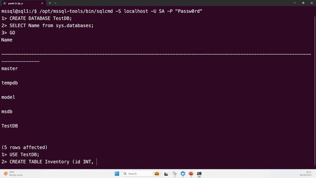 Using SQL Server inside of Docker смотреть онлайн