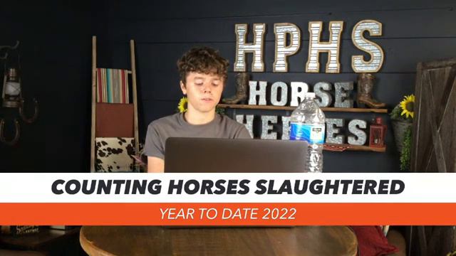 Counting Horses Slaughtered - Year to Date 2022 смотреть онлайн
