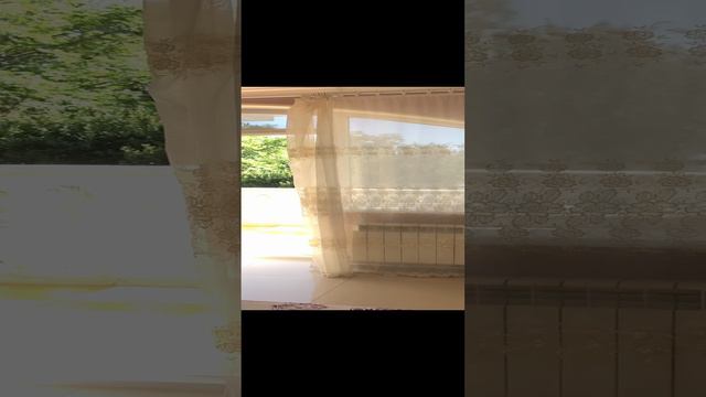 Отдых в Ялте/Мисхоре в апартаментах в розах