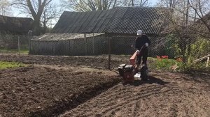 Мотоблок МТЗ Беларус пашет сам, работа с плугом, вспашка земли! 30.04.2023
