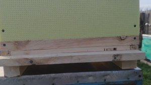 Супер Дно для улья!