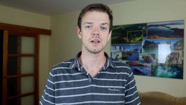 Shih Tzu vs Maltese Difference смотреть онлайн