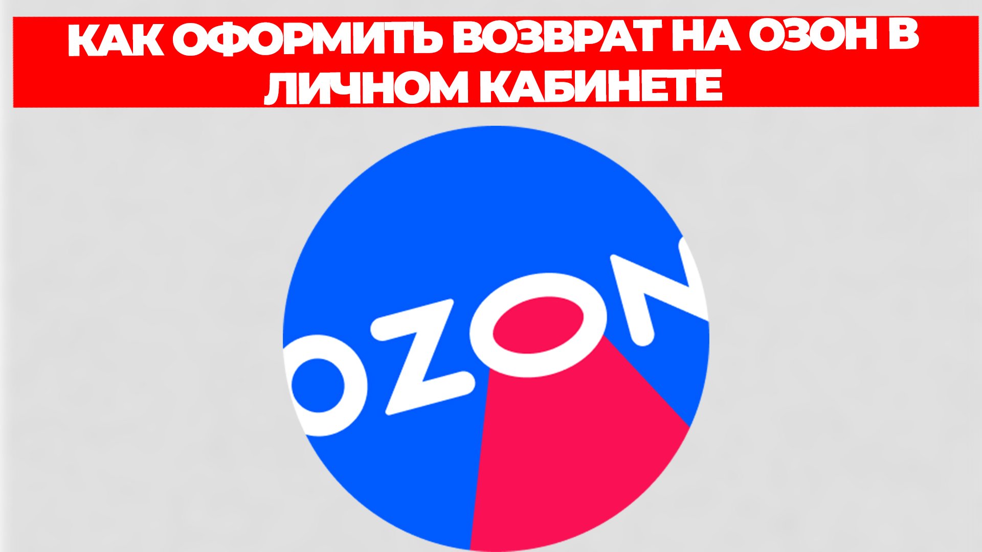 Всезнающий Енот