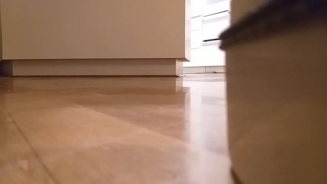 My New Pet Robot. Boxer Bot 🤖🤖👾 смотреть онлайн