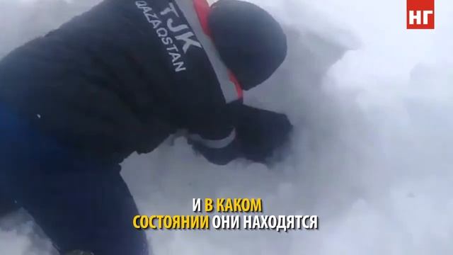 Двое мужчин и кот сутки ждали спасателей в буране в землянке смотреть онлайн