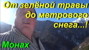 От зелёной травы до метрового снега