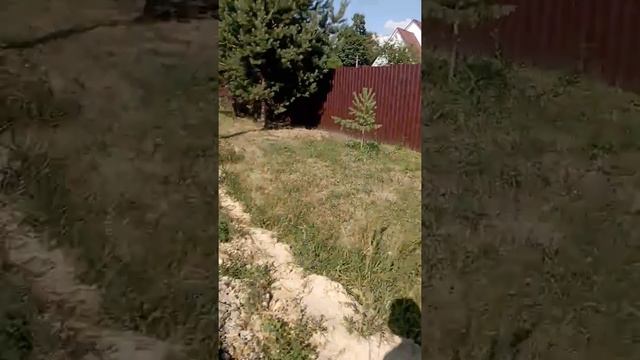 топ 5 анекдотов от s1rix(а) смотреть онлайн