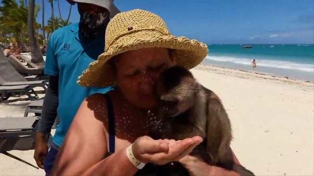 Republica Dominicana. Occidental Punta Cana 5*. ПЛЯЖНАЯ РАЗВЛЕКУХА. ОБЕД смотреть онлайн